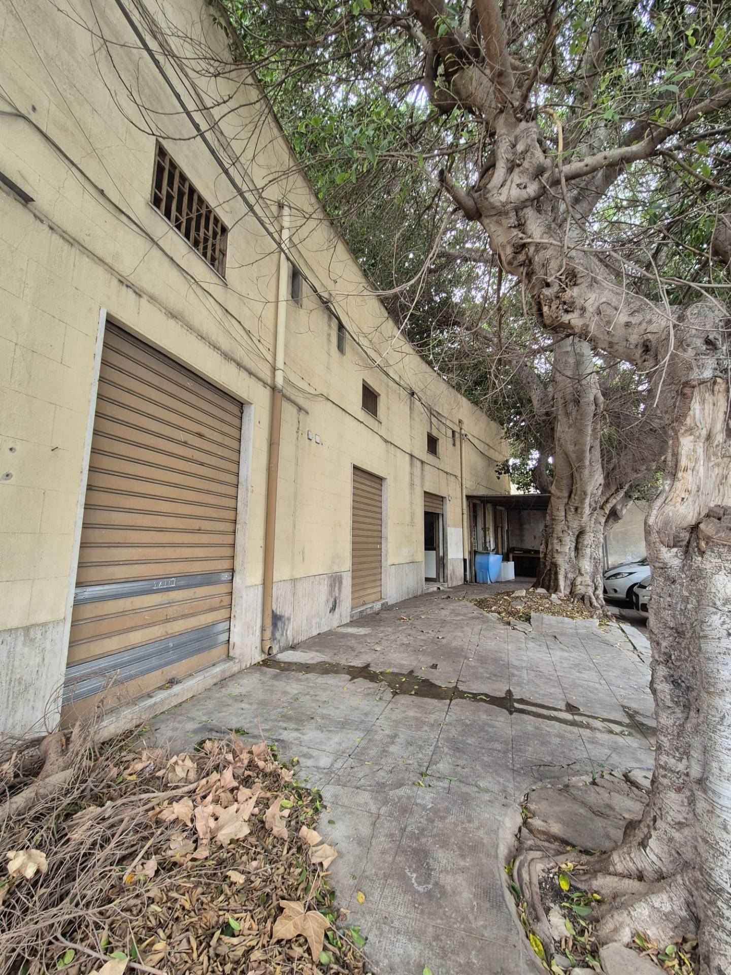 Capannone in vendita a Palermo