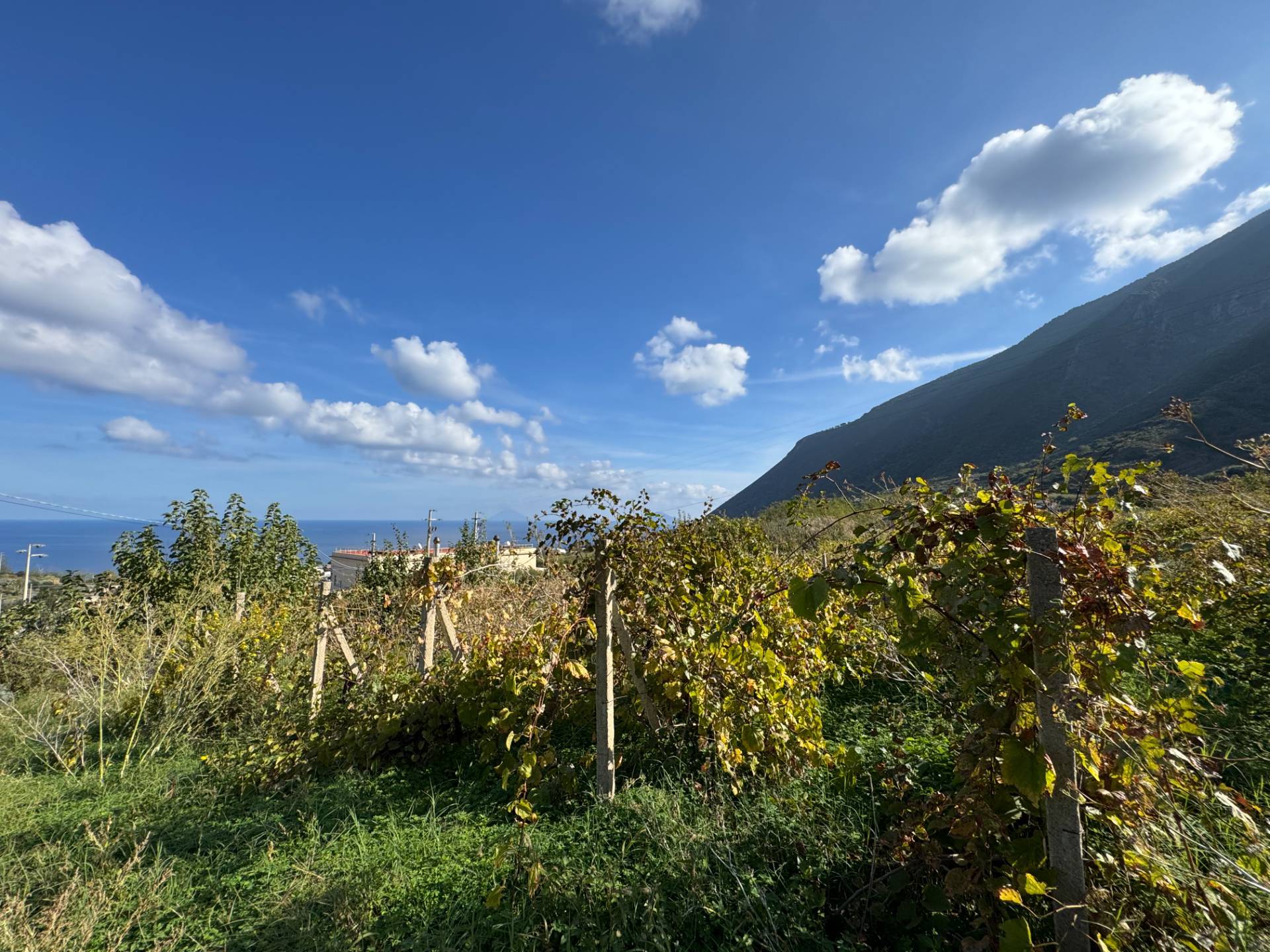 Vigneto in vendita a Malfa