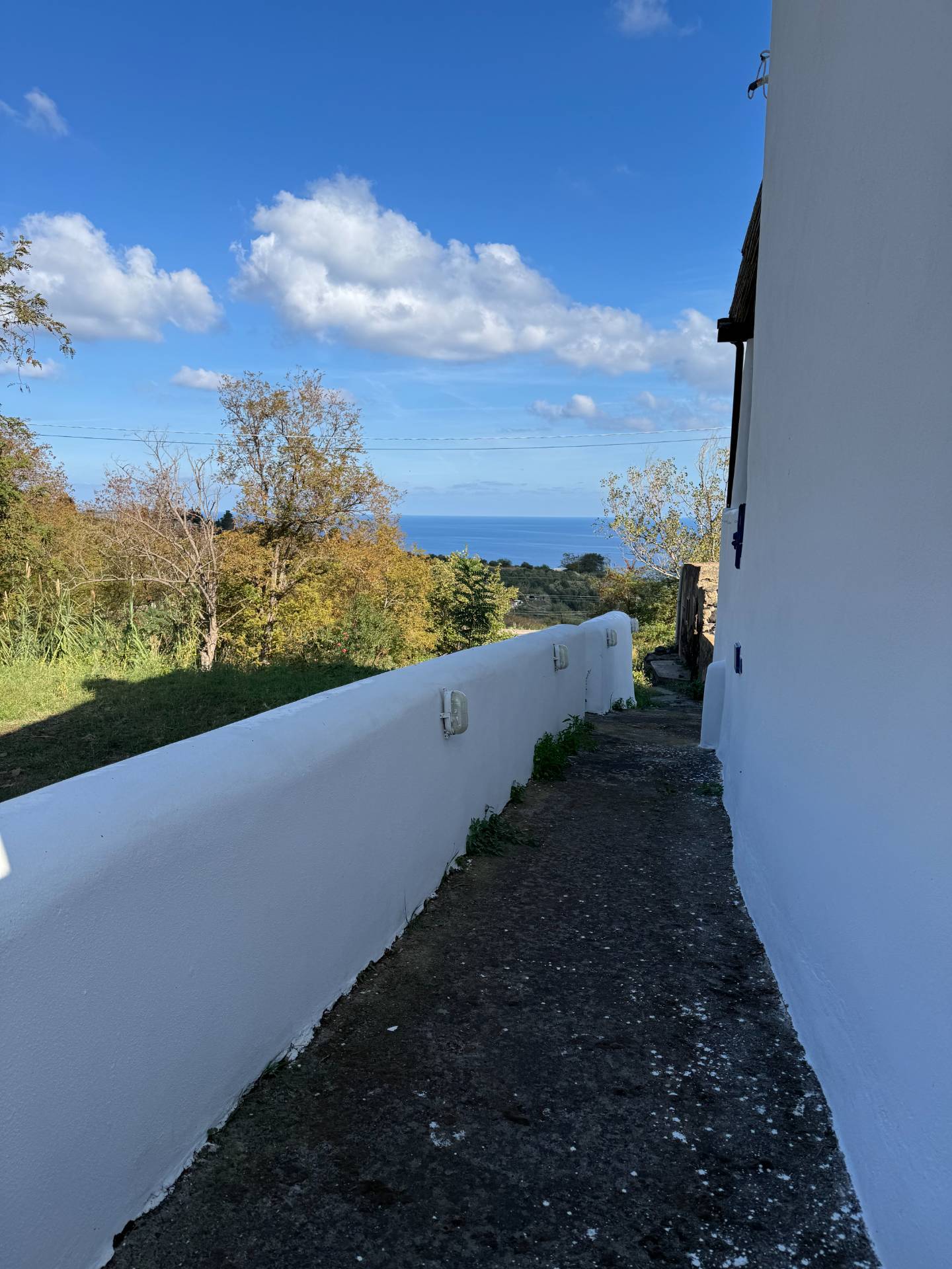 Vigneto in vendita a Malfa