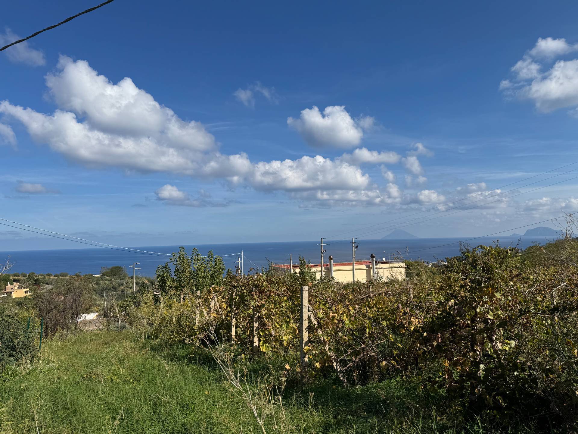Vigneto in vendita a Malfa