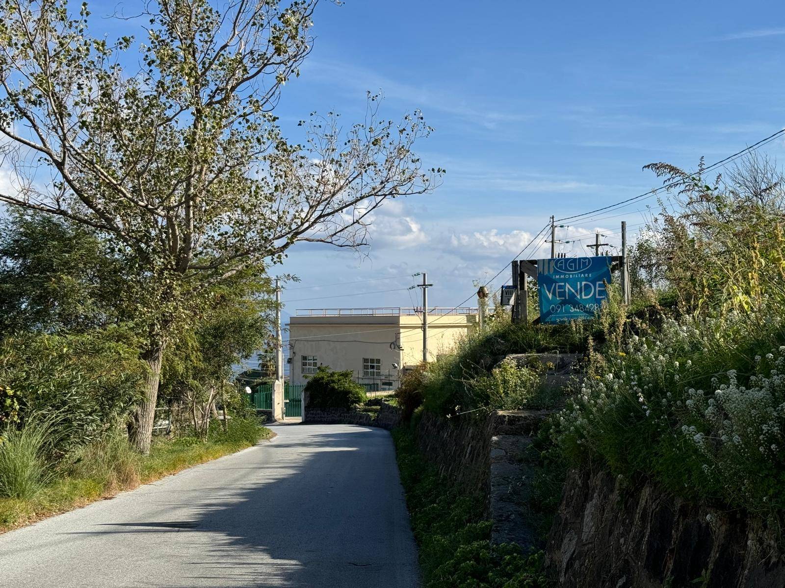 Vigneto in vendita a Malfa