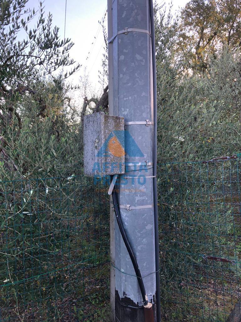 immagine annuncio 6 di 7