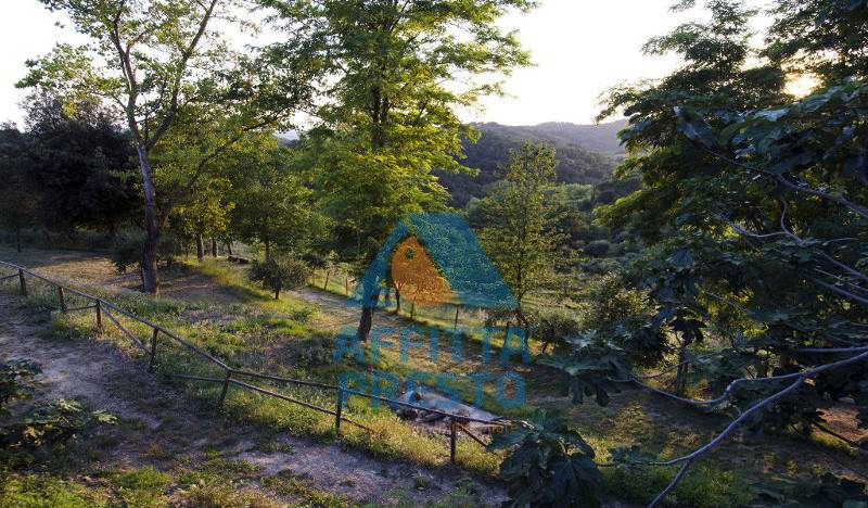 Appartamento in affitto a Pontedera, Montecastello