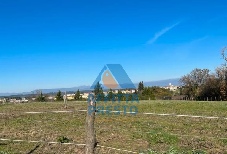 Terreno in affitto a Montopoli in Val d'Arno