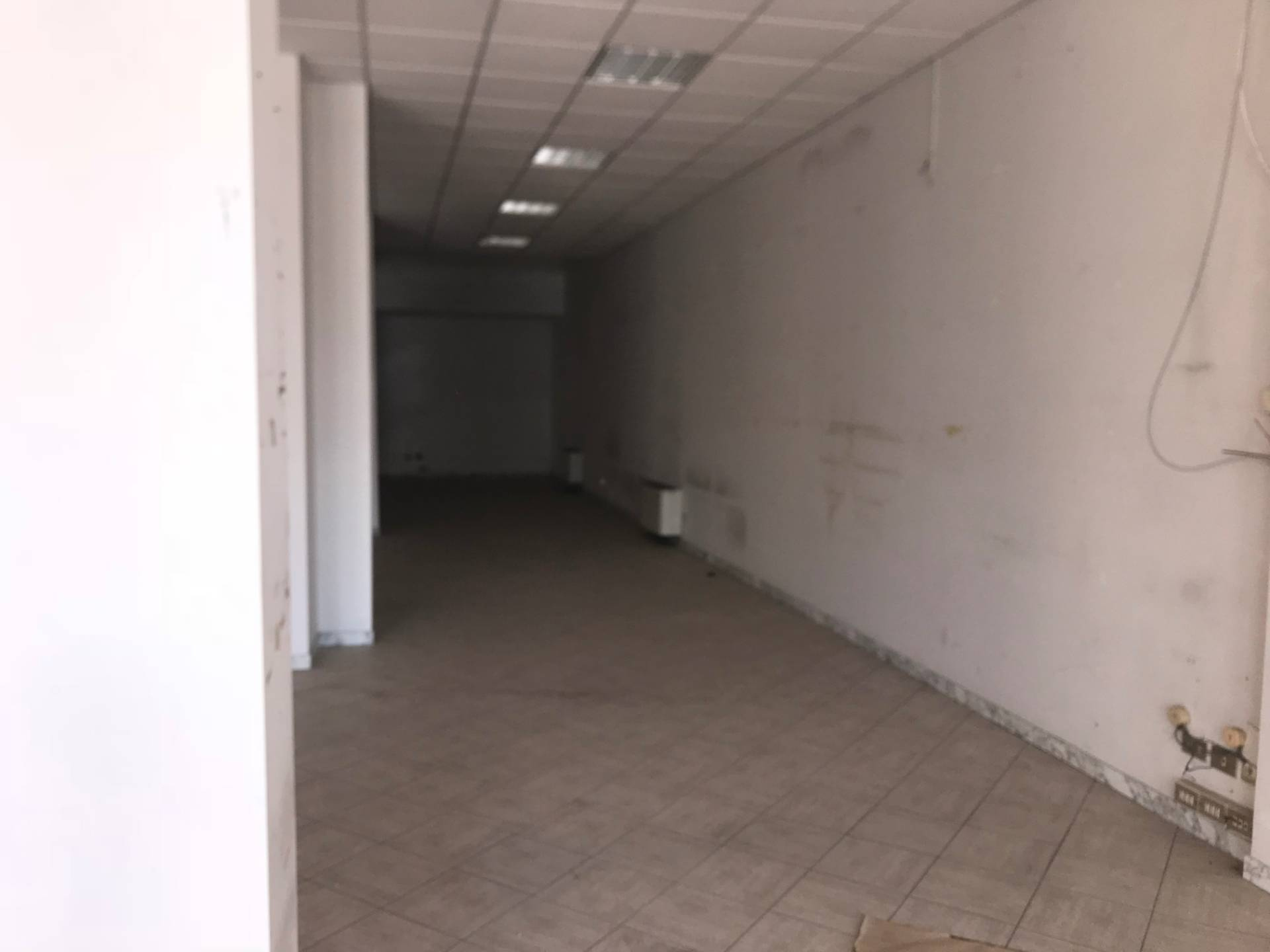 Magazzino in affitto a Empoli