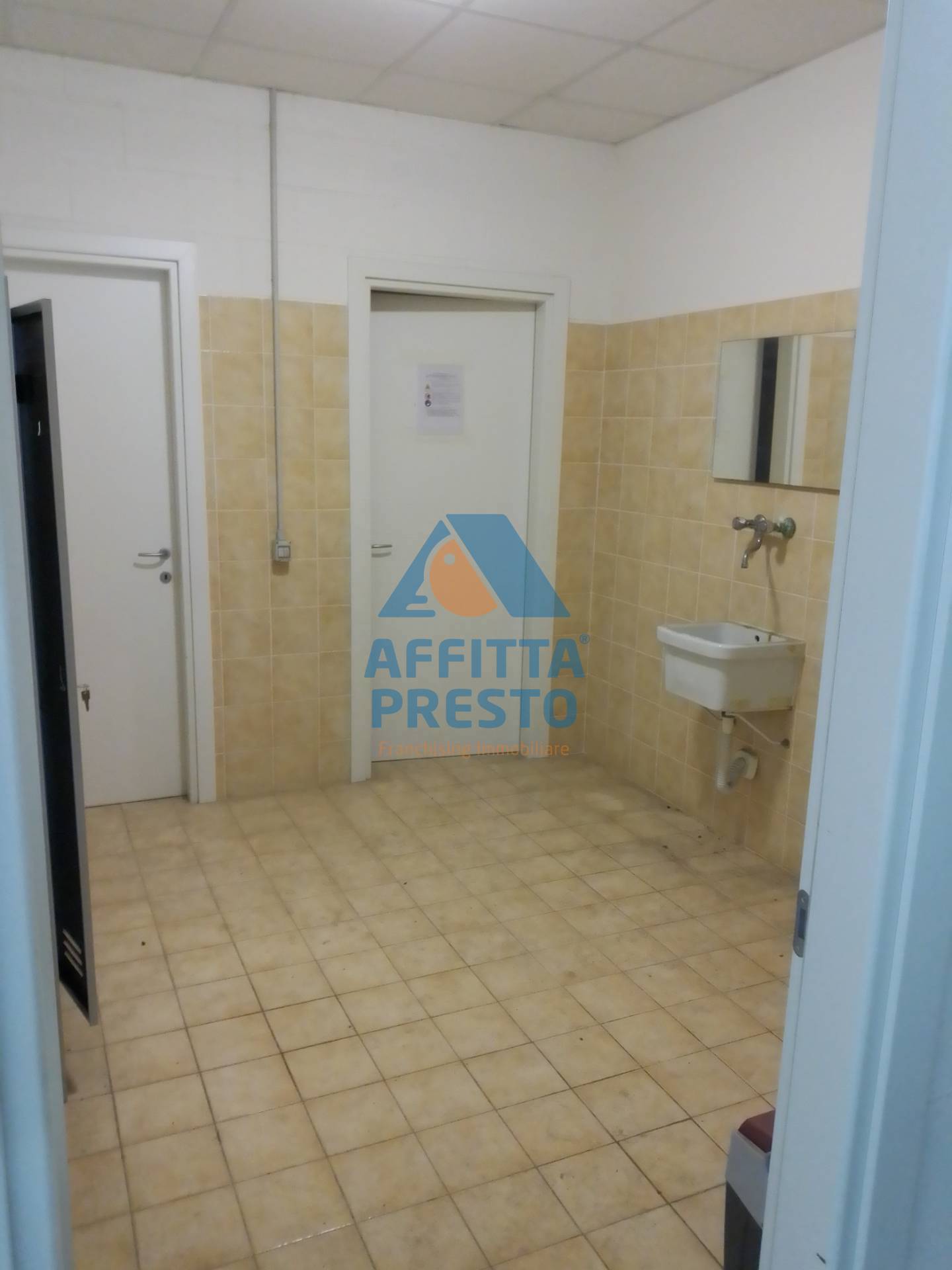 immagine annuncio 5 di 6
