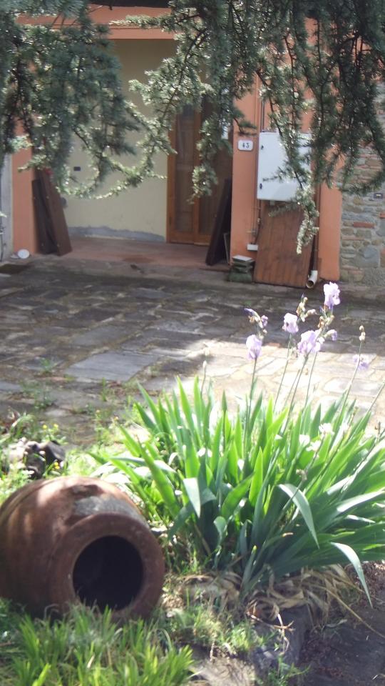 Appartamento in affitto a Vinci