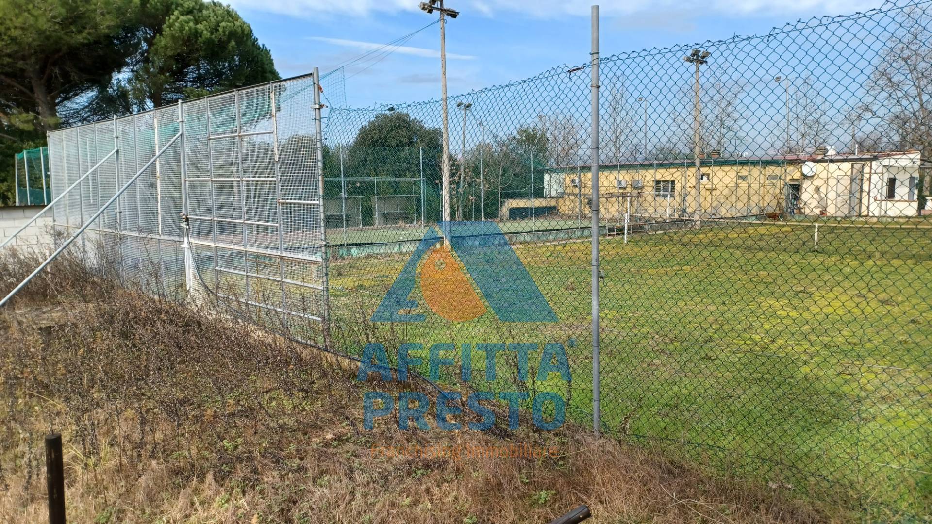 immagine annuncio 2 di 6