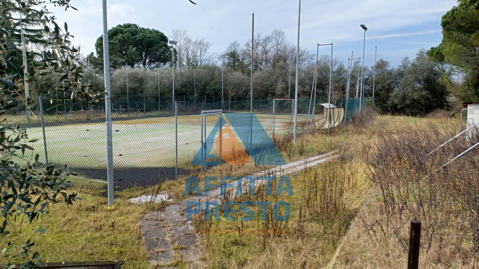 immagine annuncio 3 di 6
