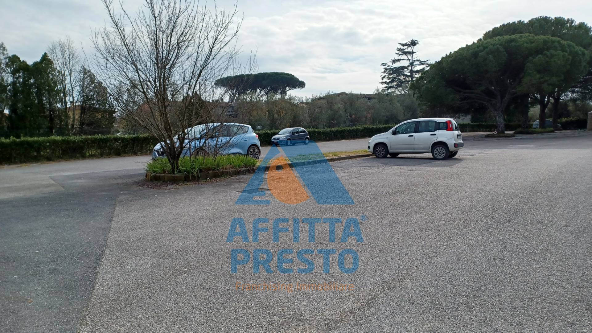 immagine annuncio 5 di 6