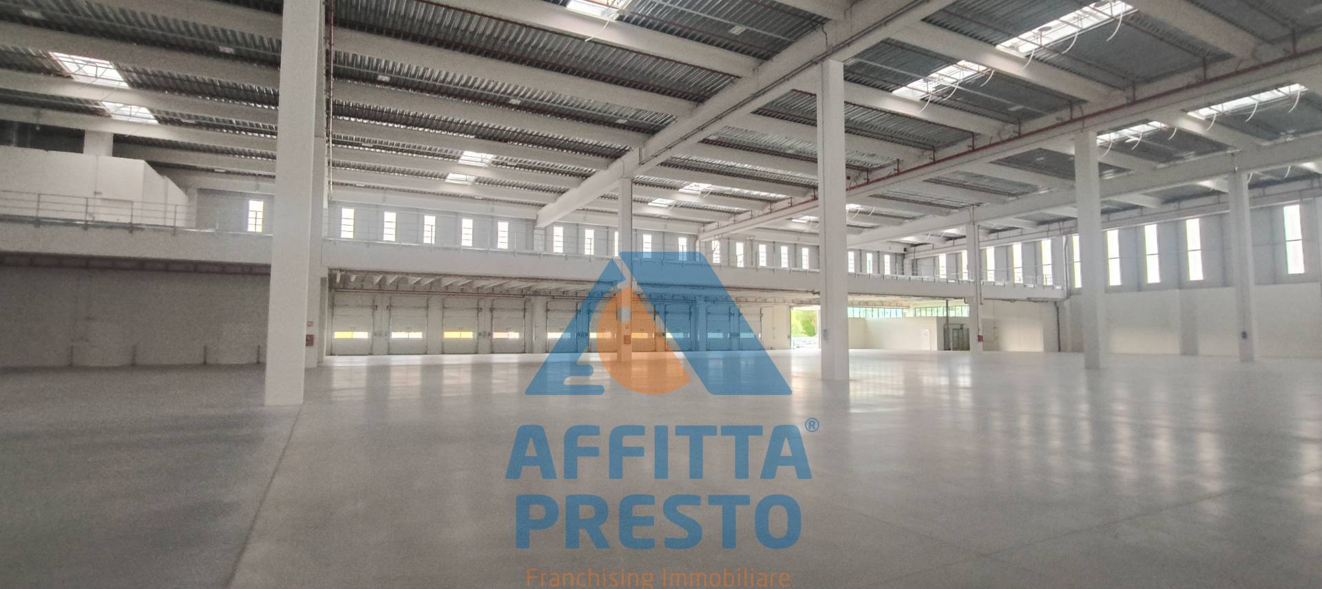 immagine annuncio 3 di 9