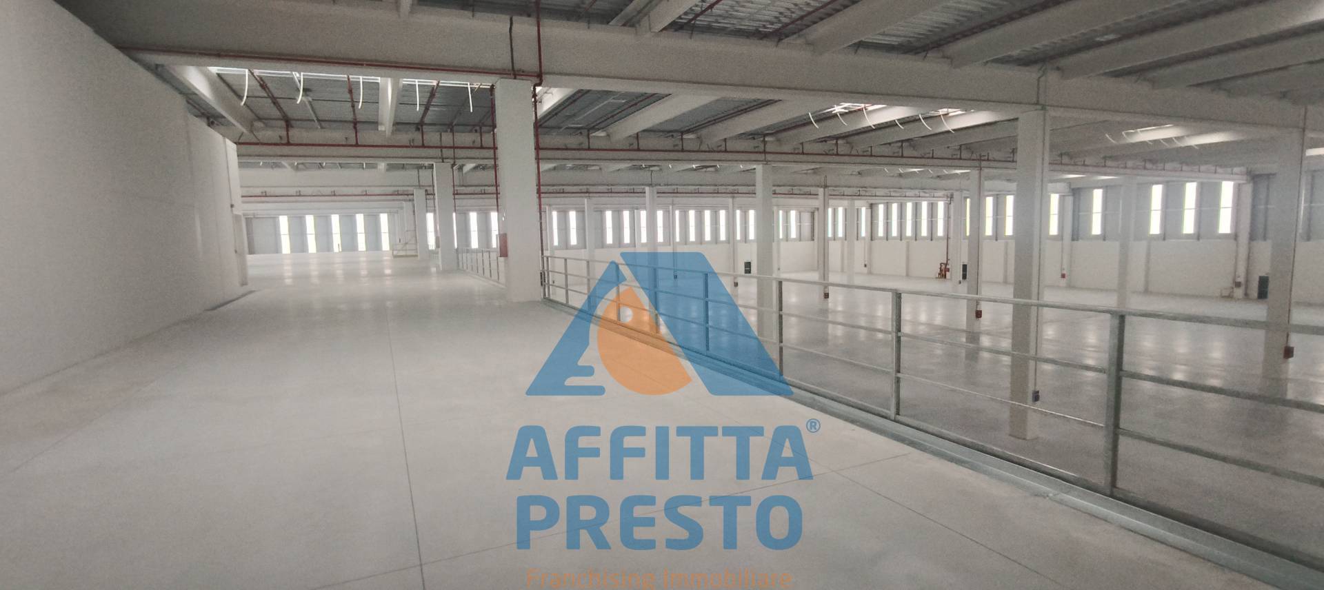 immagine annuncio 5 di 9