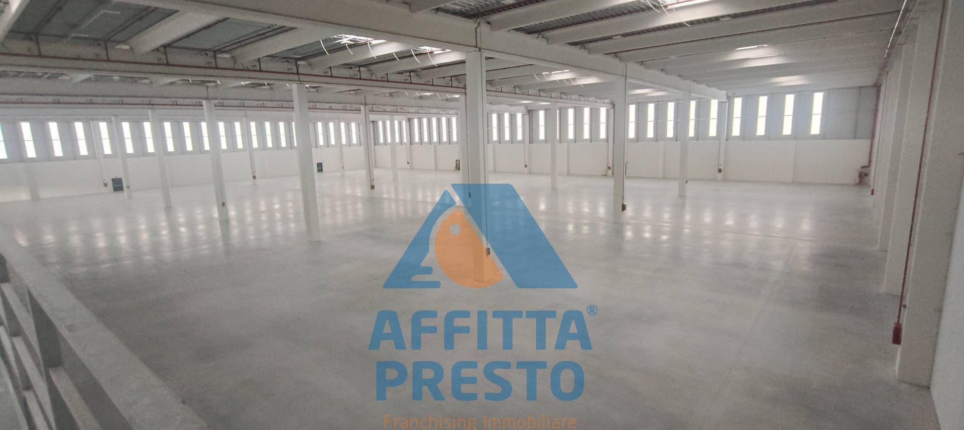 immagine annuncio 6 di 9