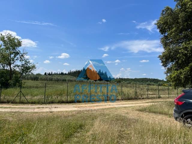 Fondo Commerciale in affitto a Montelupo Fiorentino