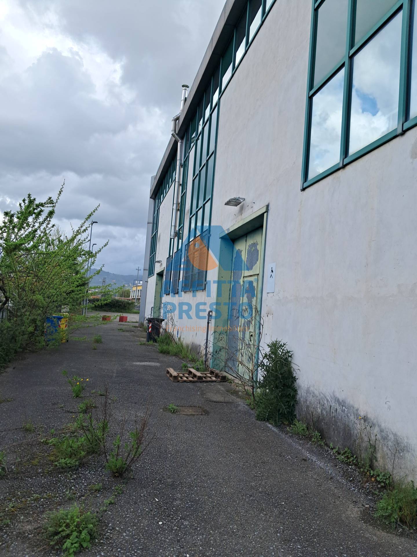 Fondo Commerciale in affitto a Massa e Cozzile