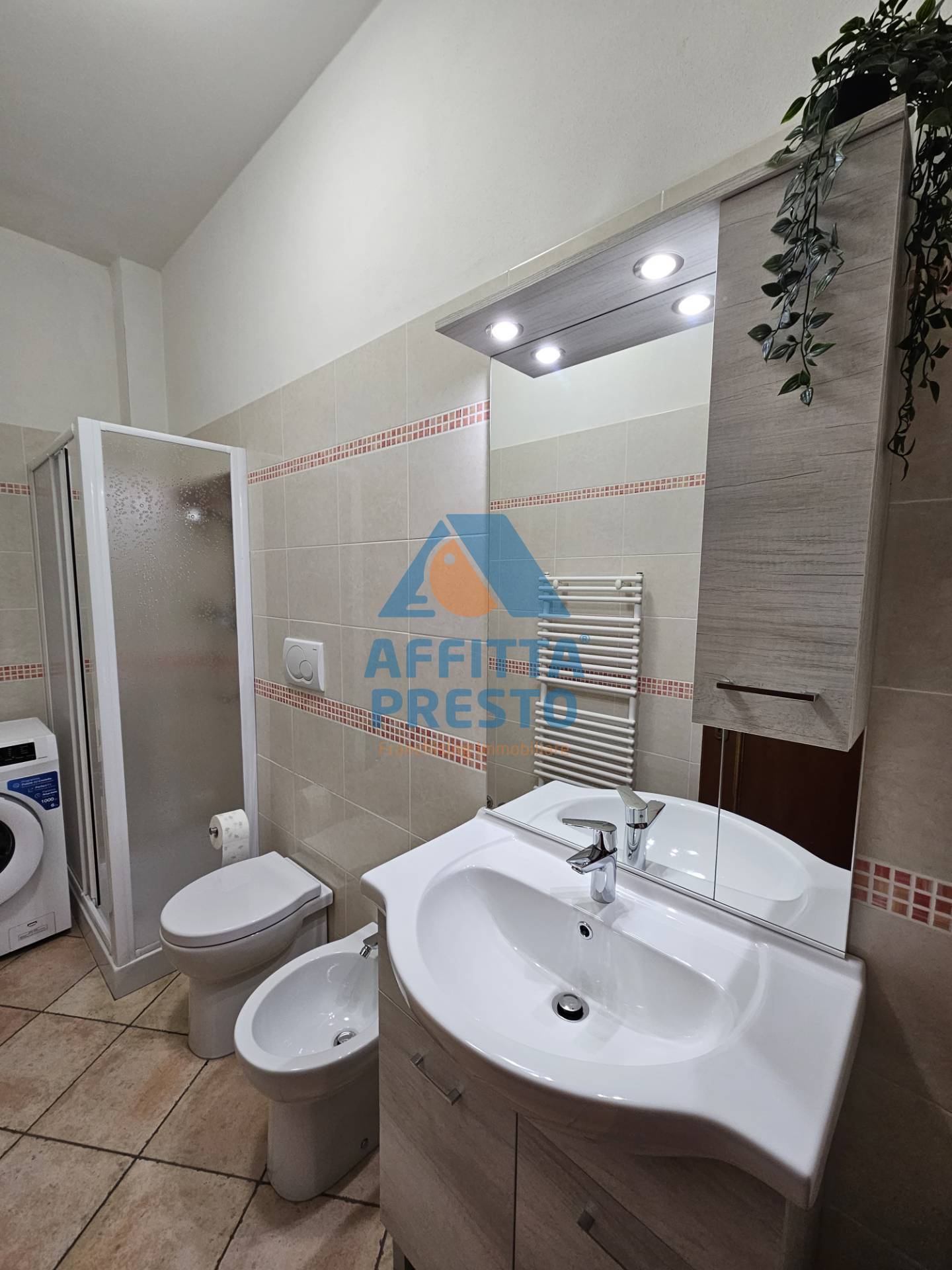 Appartamento in affitto a Palaia