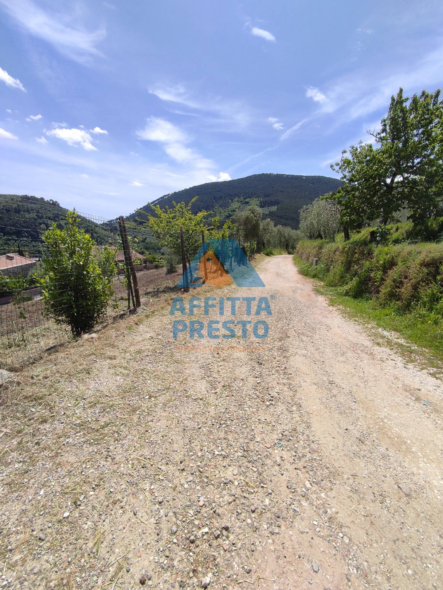 Terreno in vendita a Buti