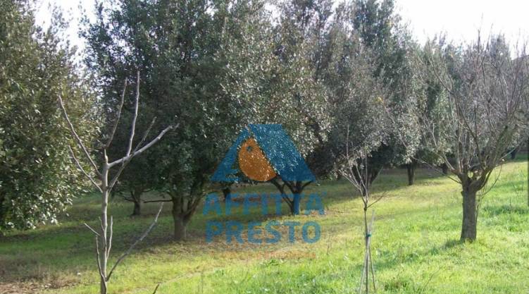 Terreno in vendita a Empoli