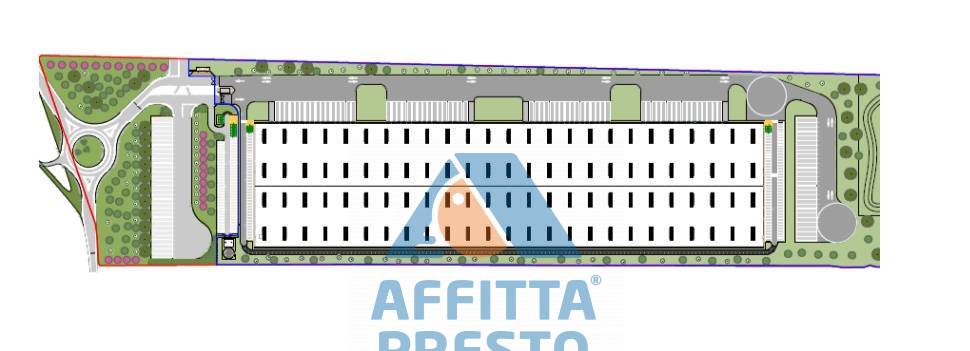 immagine annuncio 1 di 2