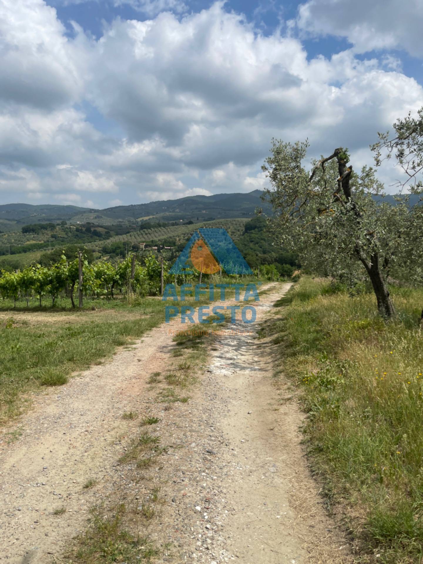 Terreno in vendita a Vinci