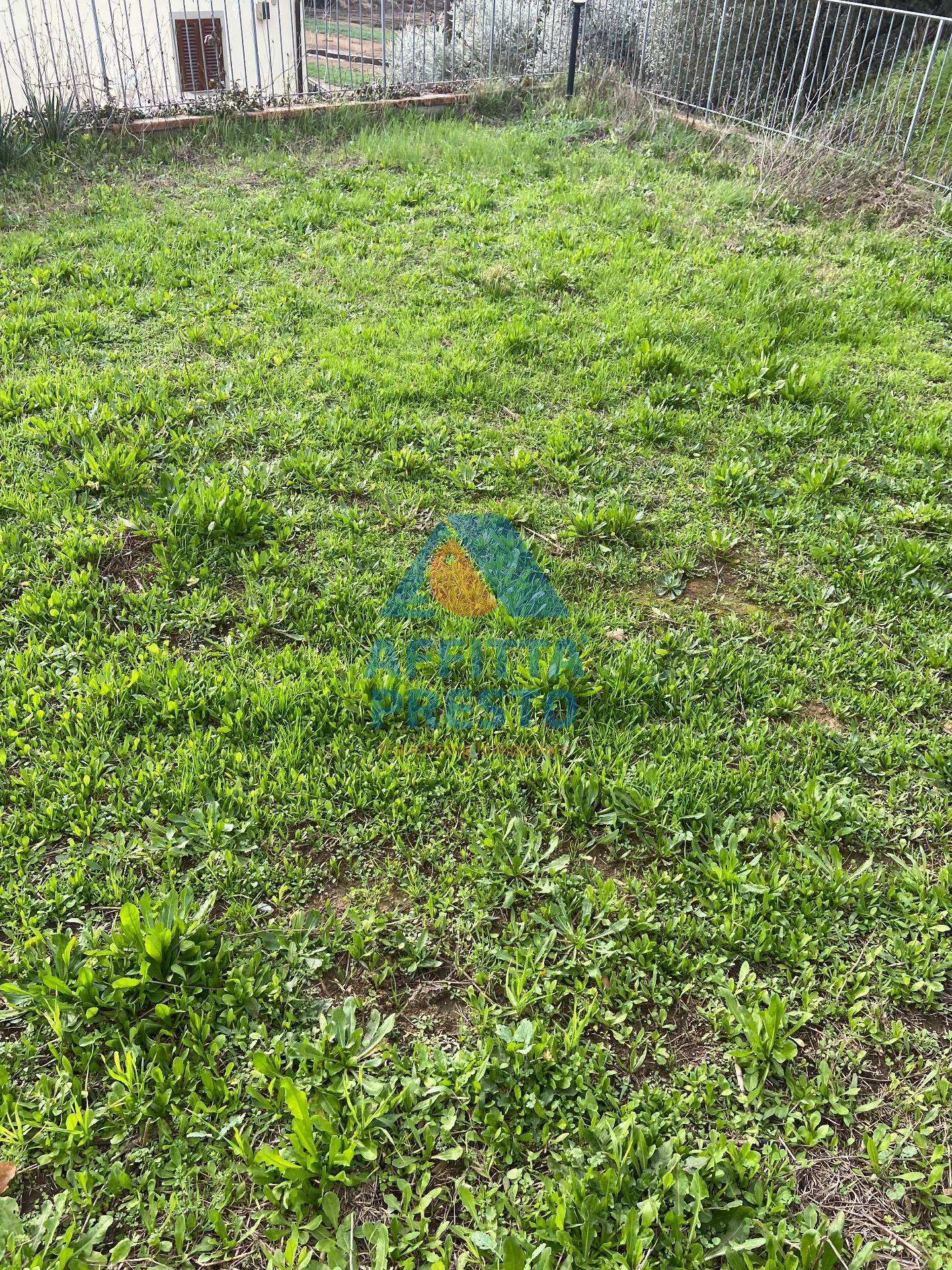 Casa indipendente in affitto a Lamporecchio