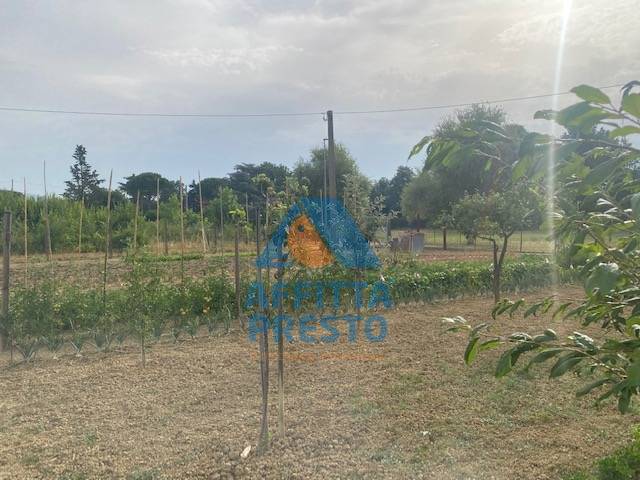 Terreno Agricolo in vendita a Empoli, Villanuova