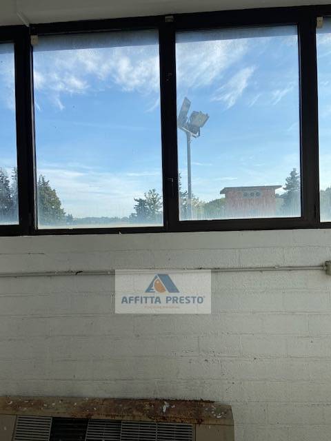 immagine annuncio 3 di 6