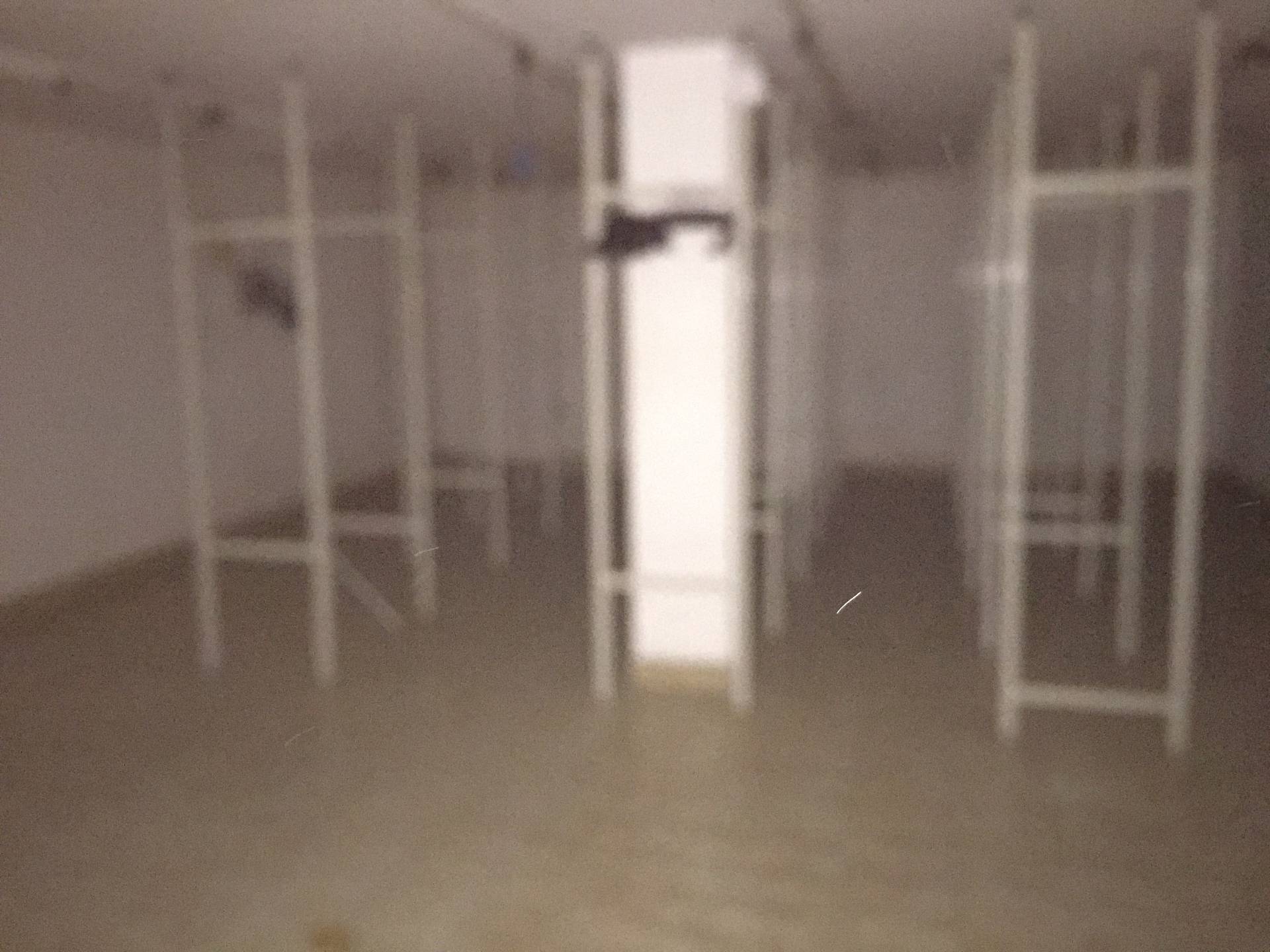 Magazzino in affitto a Empoli