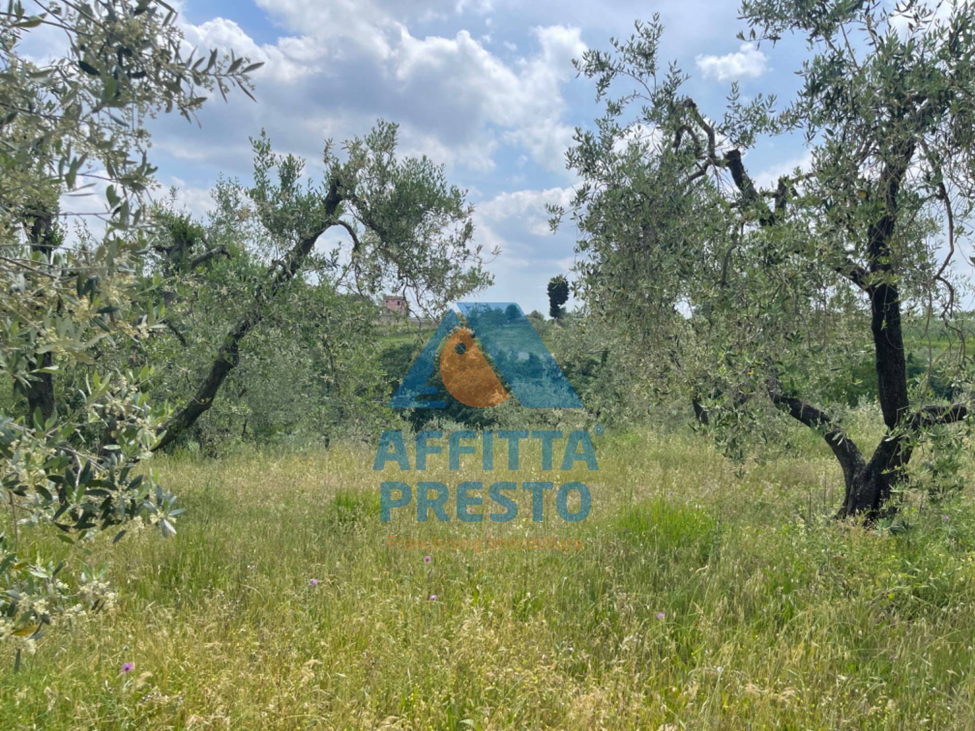 Terreno in vendita a Vinci