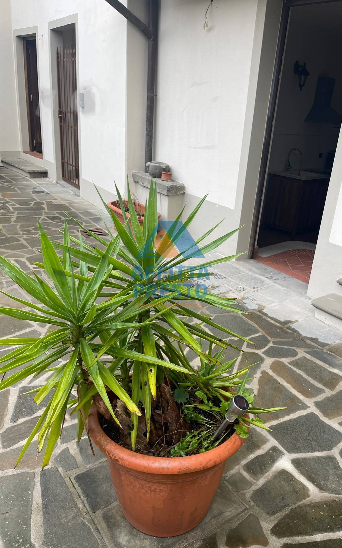 Appartamento in affitto a Cerreto Guidi