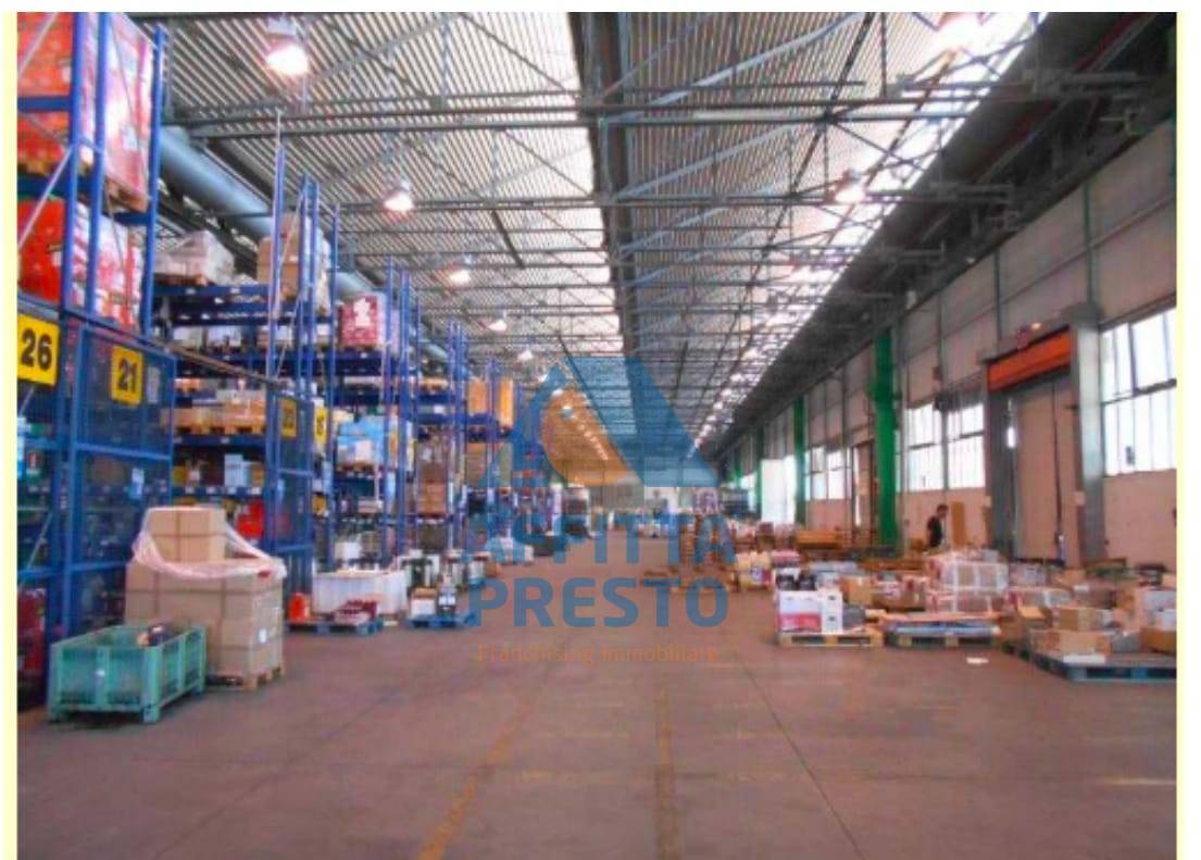 Capannone in affitto a Pisa