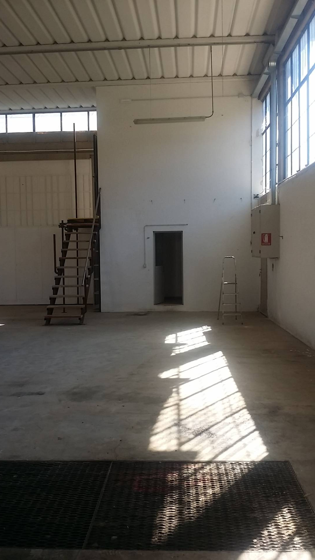 immagine annuncio 4 di 8