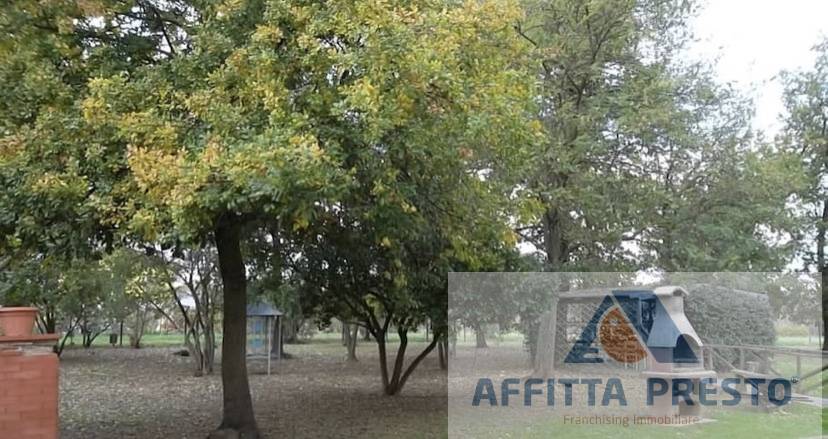 Appartamento in affitto a Castelfranco di Sotto, Orentano