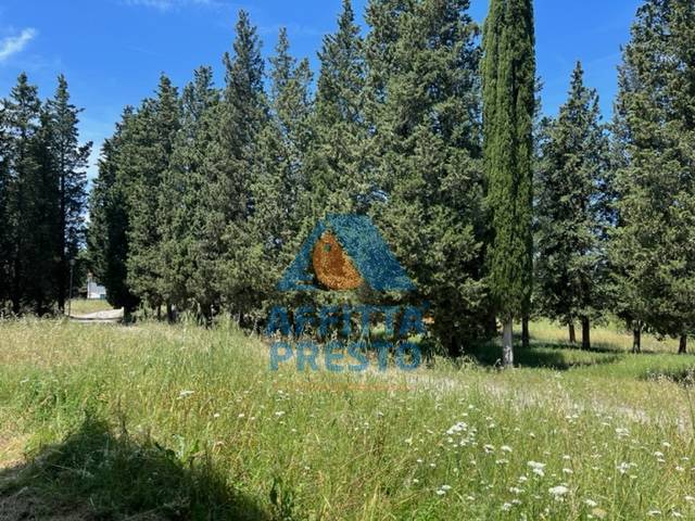 Fondo Commerciale in affitto a Montelupo Fiorentino