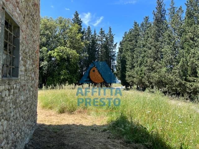 Fondo Commerciale in affitto a Montelupo Fiorentino