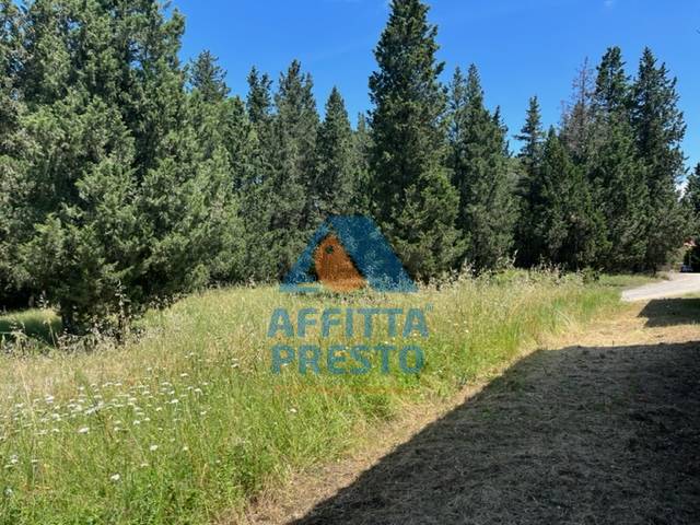 Fondo Commerciale in affitto a Montelupo Fiorentino