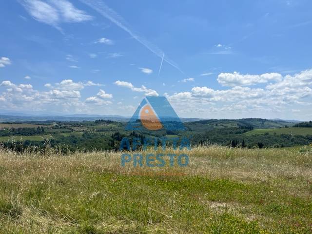 Fondo Commerciale in affitto a Montelupo Fiorentino