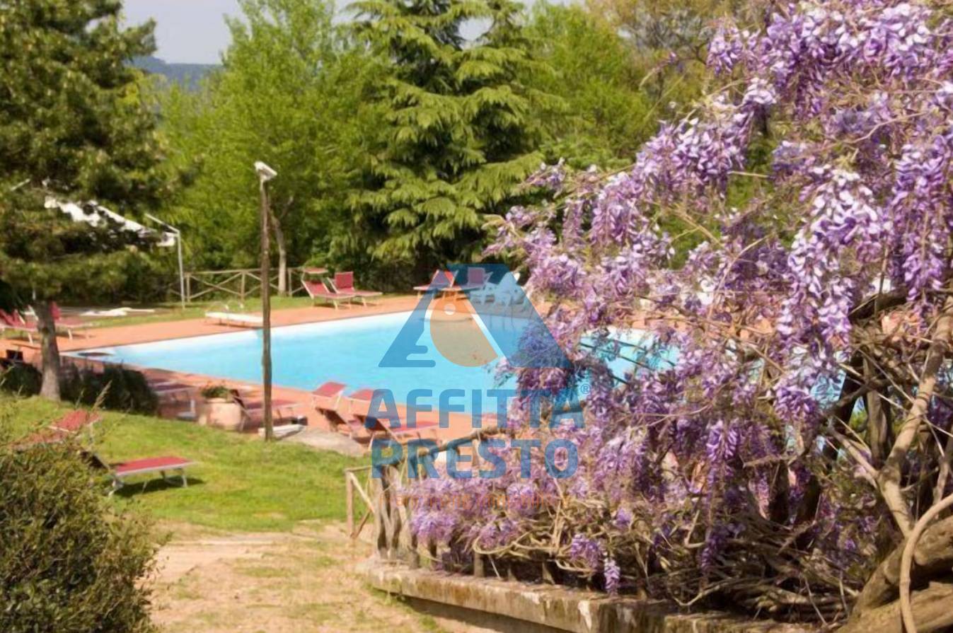 Attivit/licenza in affitto a Roccastrada