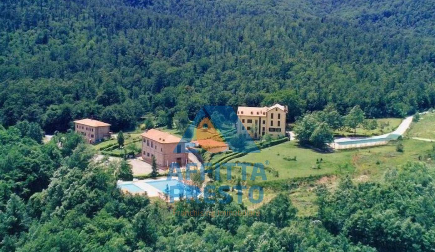 Attivit/licenza in affitto a Roccastrada