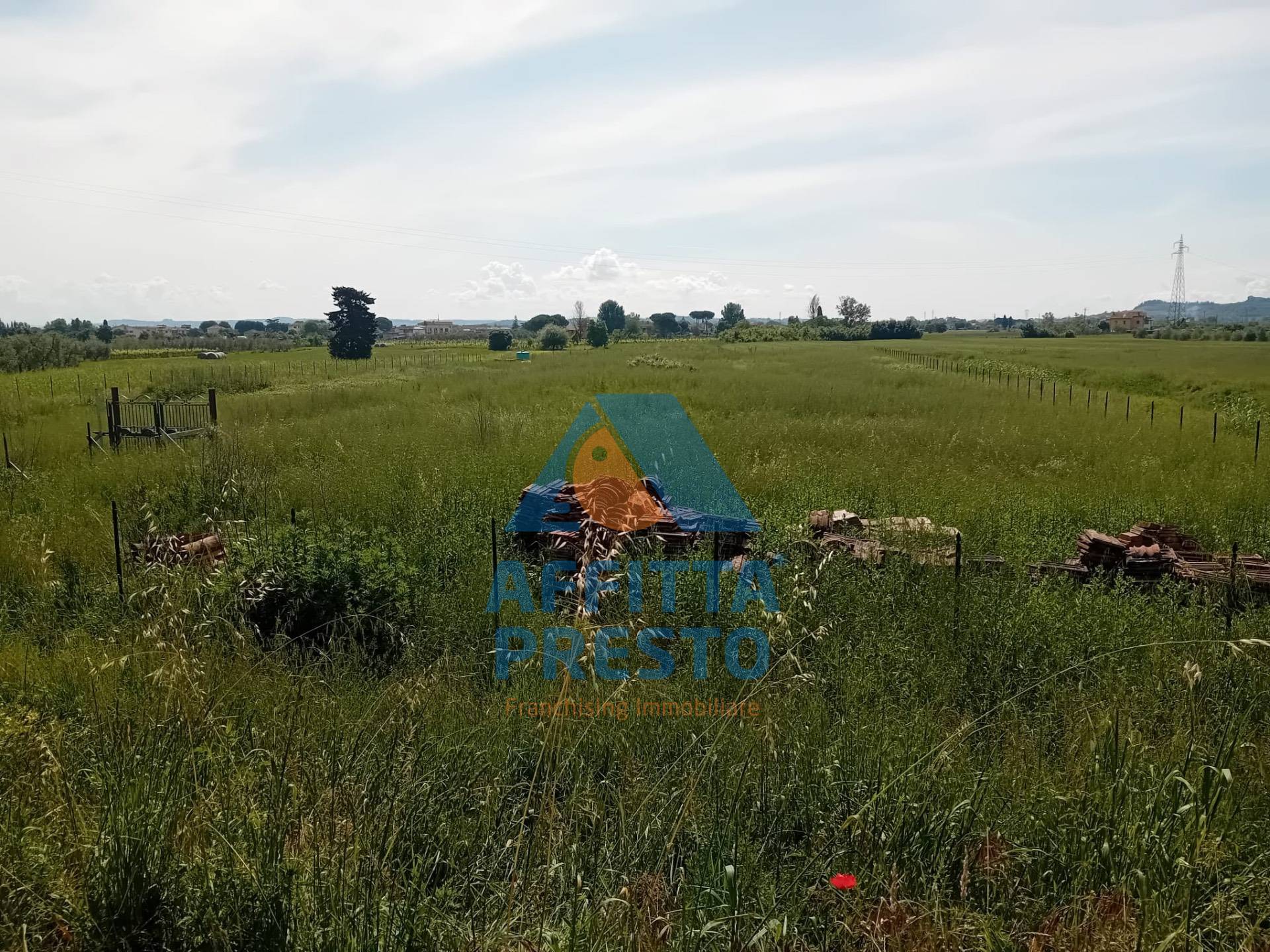 Terreno Agricolo in vendita a San Miniato