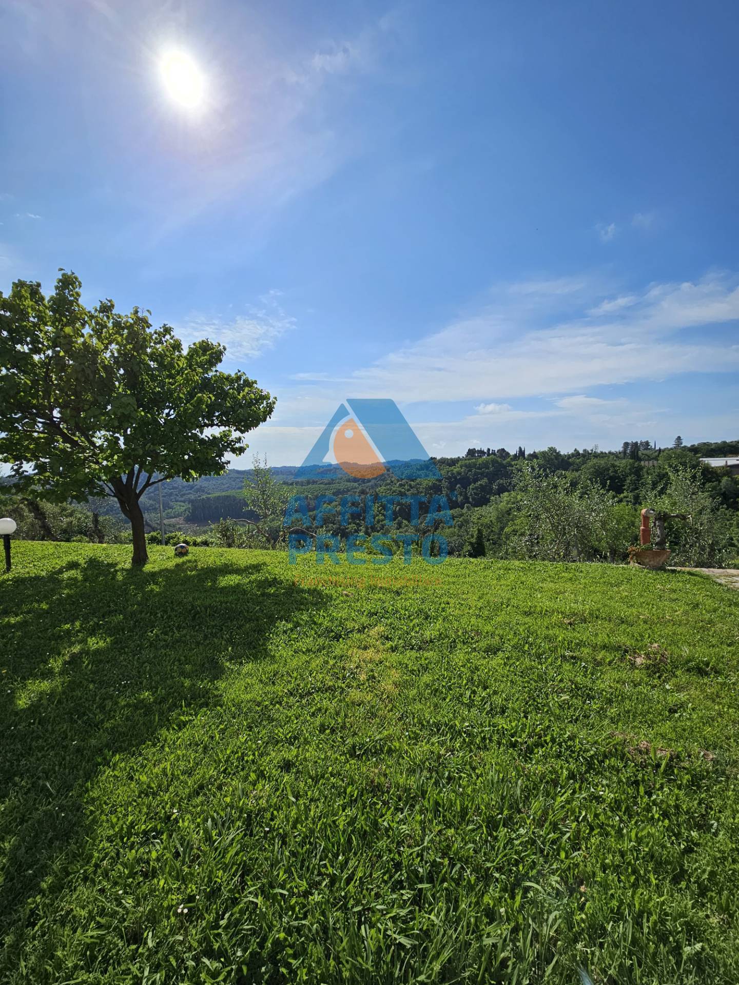 Appartamento in affitto a Palaia