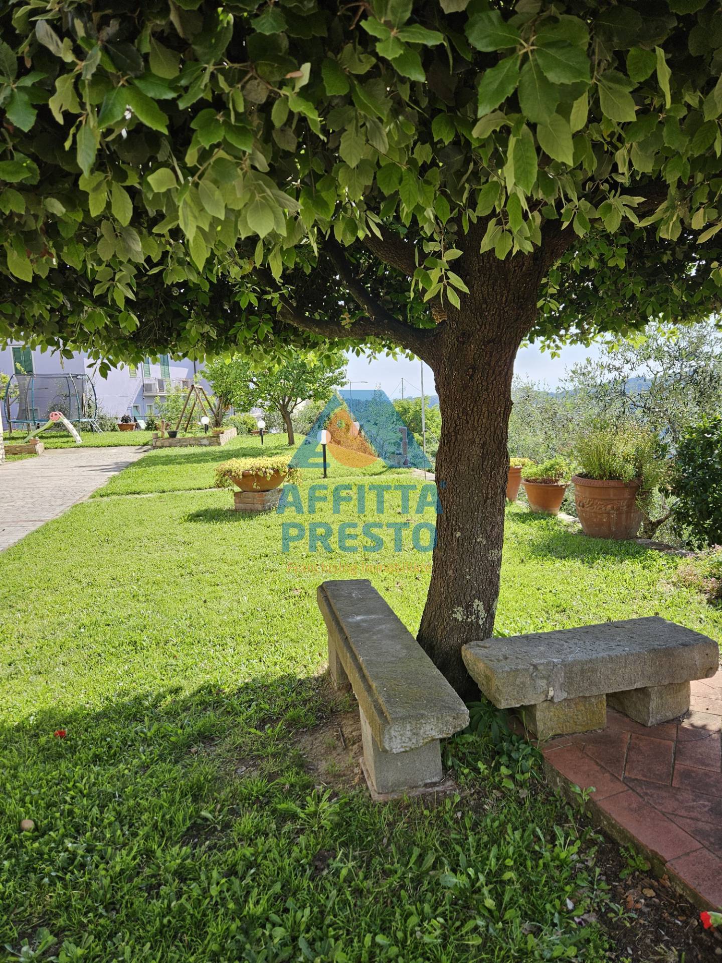 Appartamento in affitto a Palaia