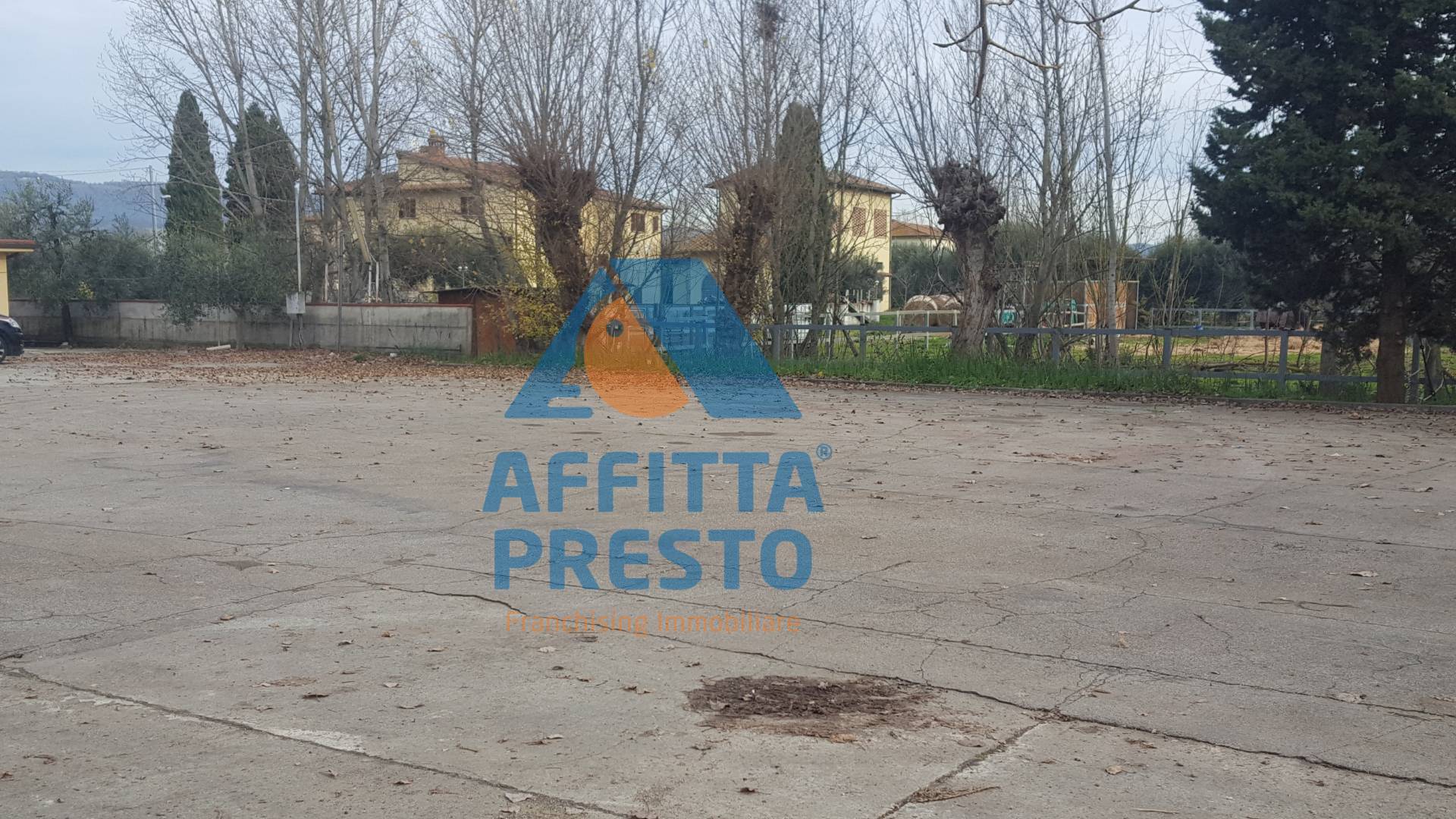 immagine annuncio 2 di 6