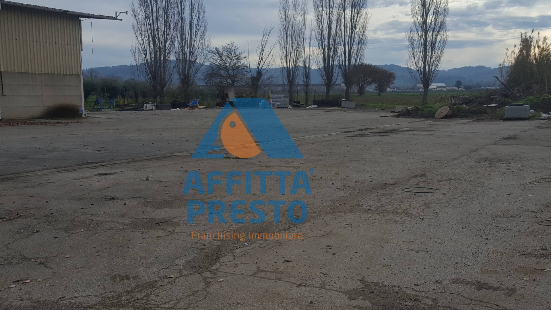 immagine annuncio 3 di 6