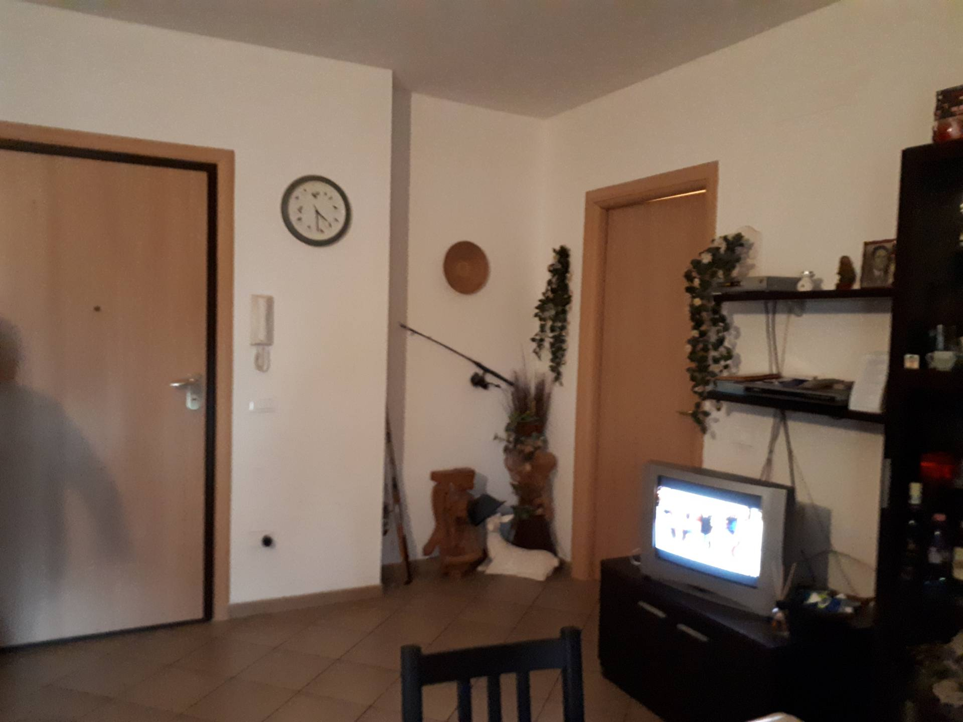 Appartamento in affitto a Montelupo Fiorentino