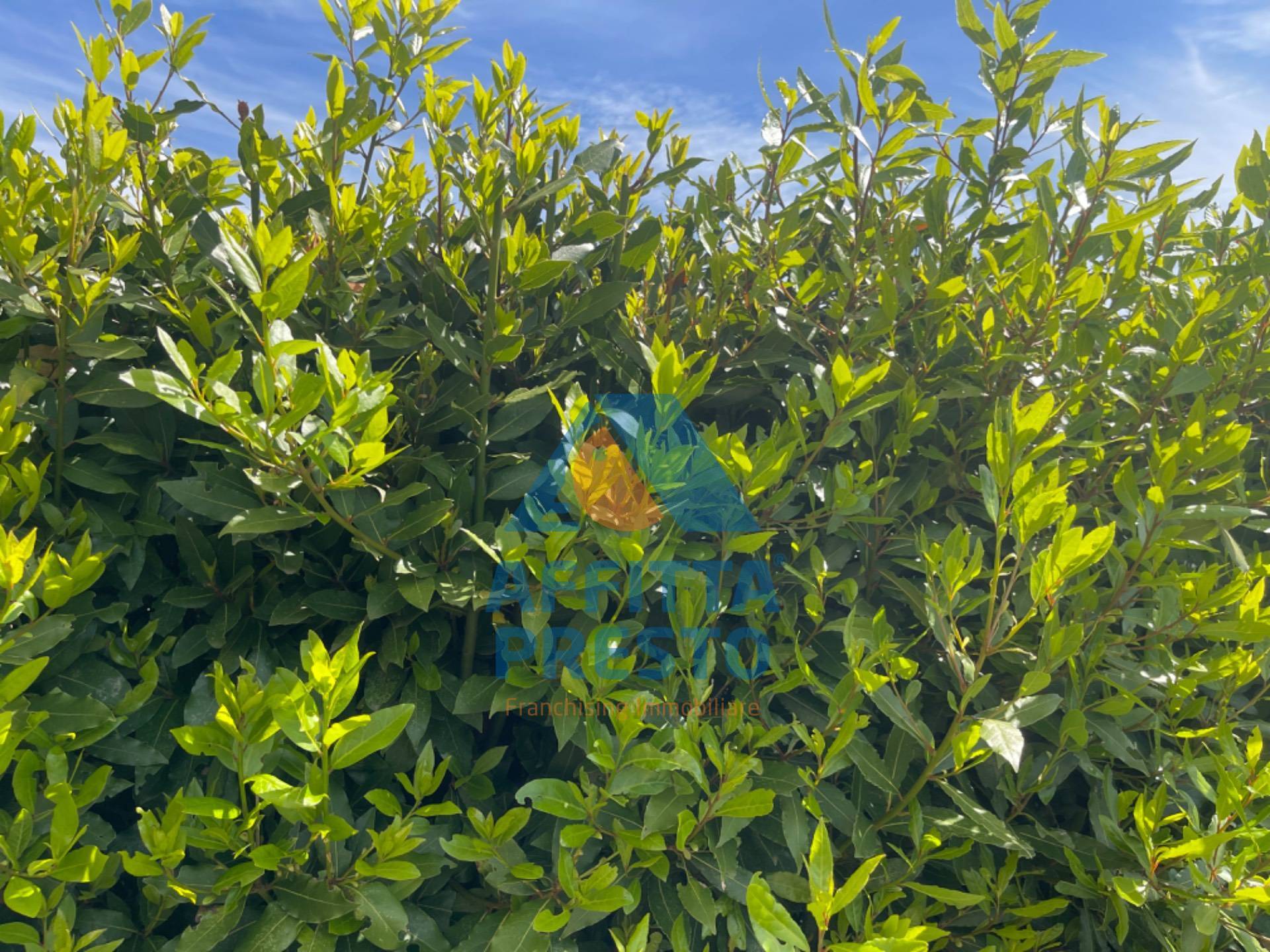 Appartamento in affitto a Fucecchio