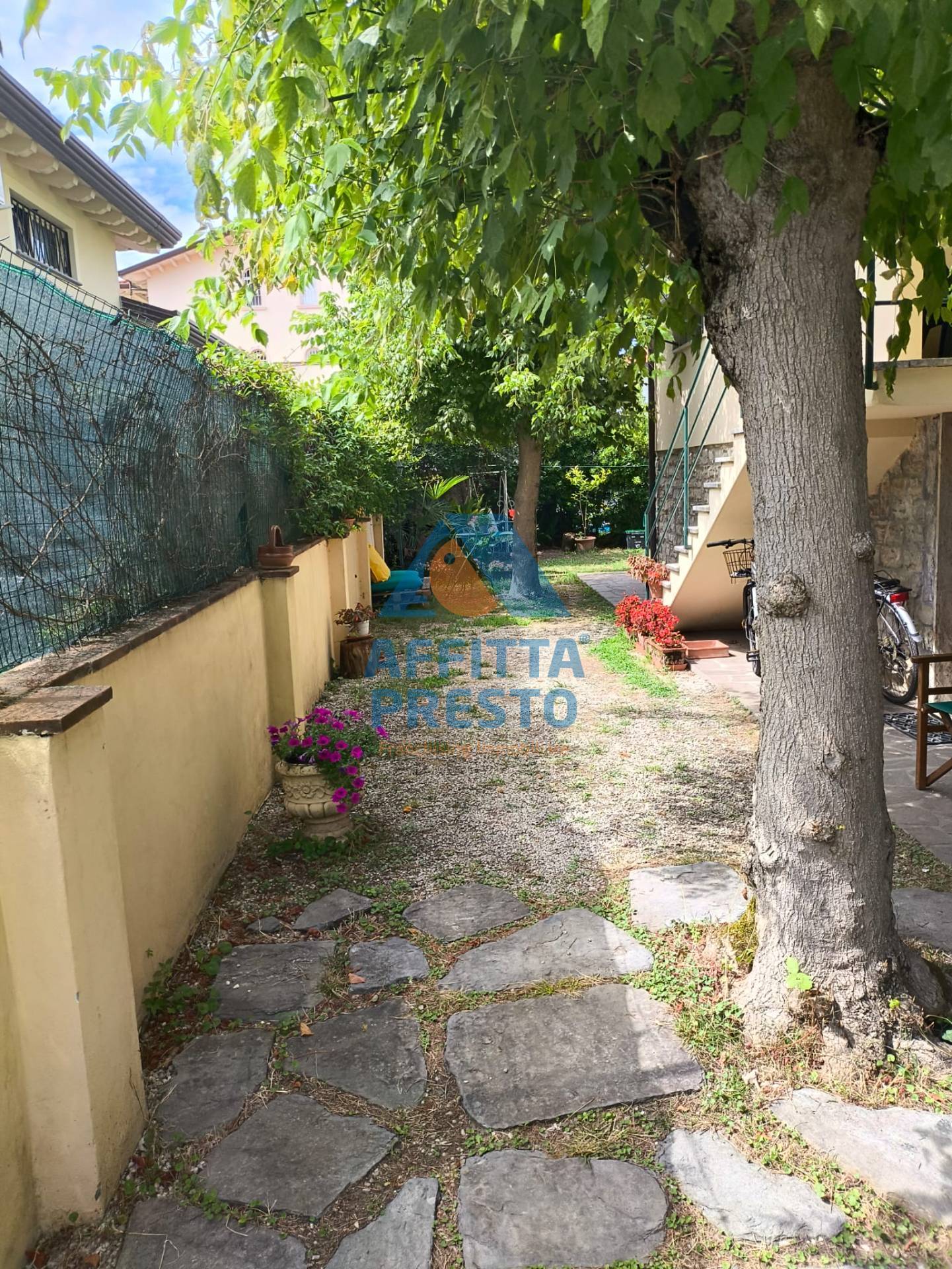 Casa indipendente in affitto a Pietrasanta, Marina di Pietrasanta