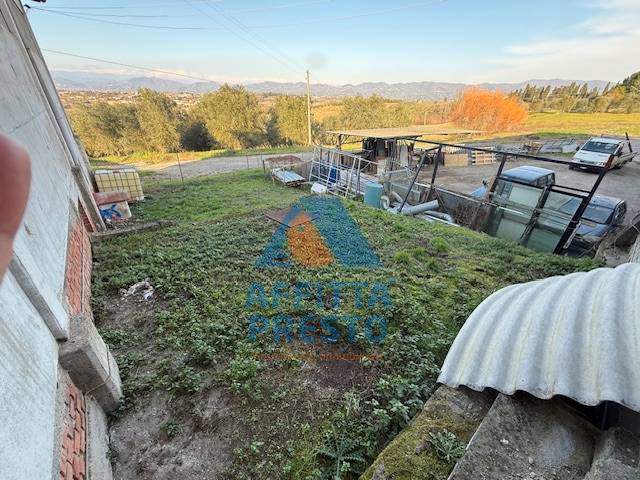 Capannone in affitto a Cerreto Guidi