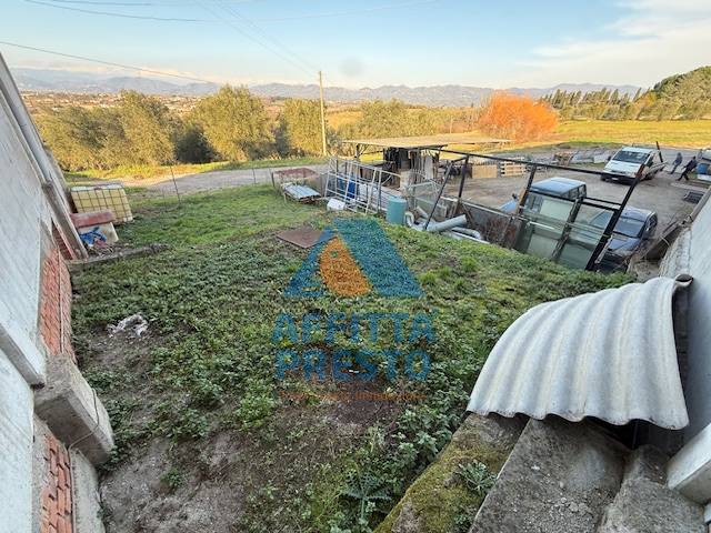 Capannone in affitto a Cerreto Guidi