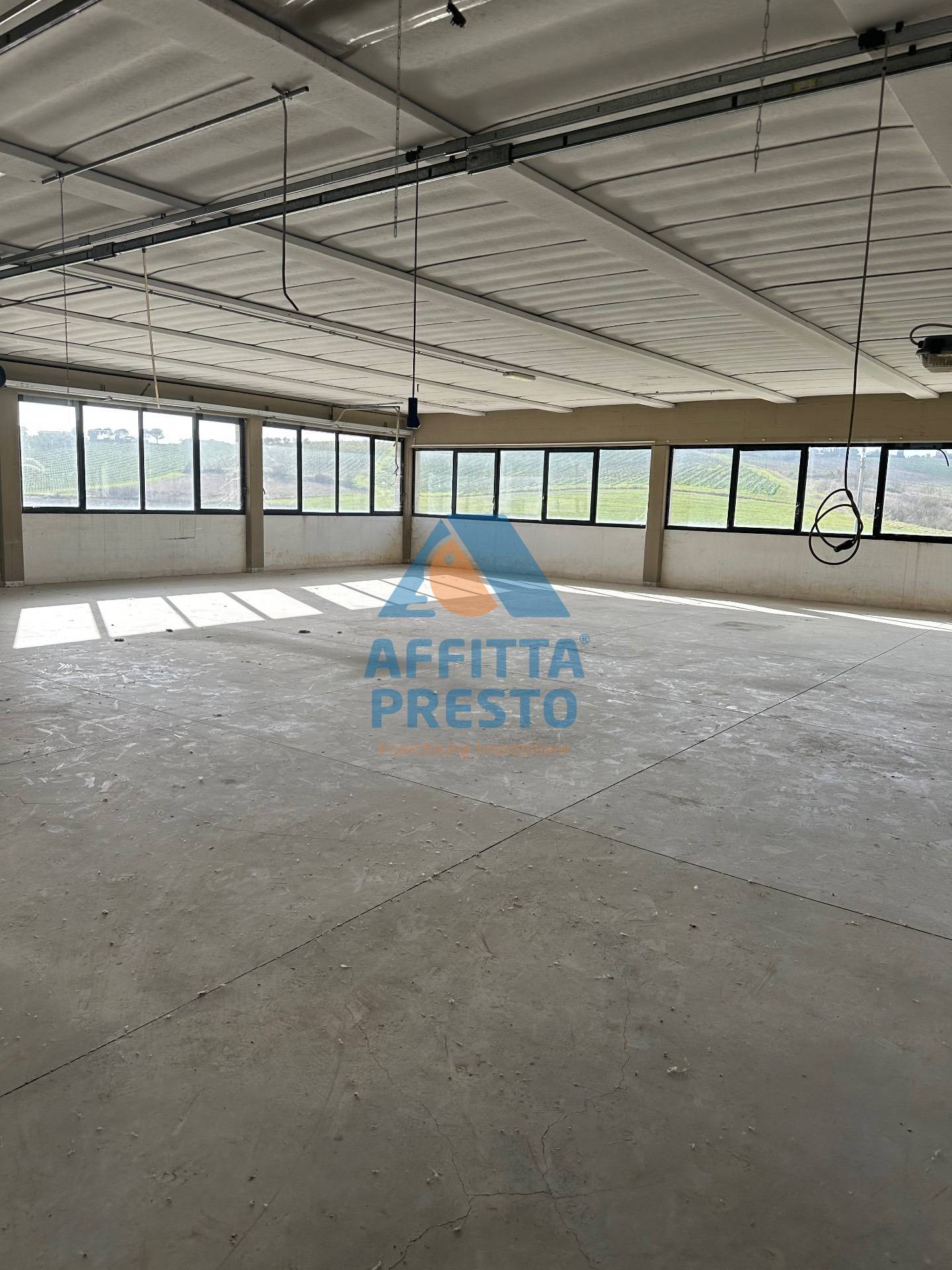 Capannone in affitto a Vinci